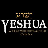 Yeshua Hebrew Name Jesus The Way Truth Life Christian Bible 16 in Basic Backpack