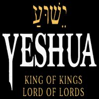 Yeshua Hebrew Name Of Jesus Christian King Youth Performance Sprint T-Shirt