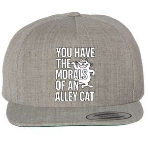 You Have The Morals Of An Alley Cat Funny Debate Wool Snapback Cap