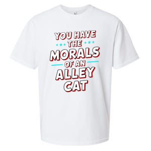 You Have The Morals Of An Alley Cat Funny Debate Sueded Cloud Jersey T-Shirt