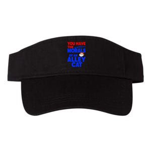 You Have The Morals Of An Alley Cat Funny Debate Valucap Bio-Washed Visor