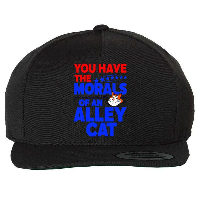 You Have The Morals Of An Alley Cat Funny Debate Wool Snapback Cap