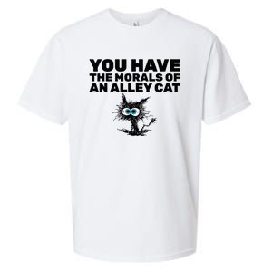 You Have The Morals Of An Alley Cat Sueded Cloud Jersey T-Shirt