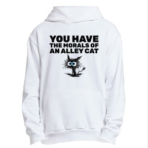 You Have The Morals Of An Alley Cat Urban Pullover Hoodie