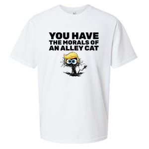 You Have The Morals Of An Alley Cat Sueded Cloud Jersey T-Shirt