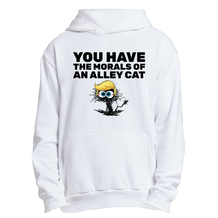 You Have The Morals Of An Alley Cat Urban Pullover Hoodie