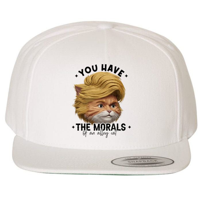 You Have The Morals Of An Alley Cat Joke Meme Funny America Wool Snapback Cap