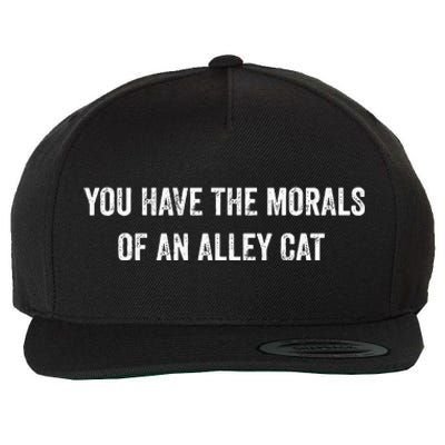 You Have The Morals Of An Alley Cat Funny Debate Wool Snapback Cap