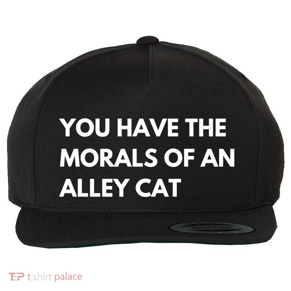 You Have The Morals Of An Alley Cat Presidential Debate Trending Wool Snapback Cap