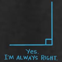Yes Im Always Right Math Teacher Adult Drive Performance Visor