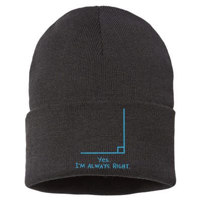 Yes Im Always Right Math Teacher Sustainable Knit Beanie