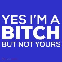 Yes Im A Bitch But Not Yours Meaningful Gift Pom Pom 12in Knit Beanie