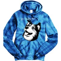 Yes Im A Dog Mom Displays Love For This Lovely Pet Tie Dye Hoodie