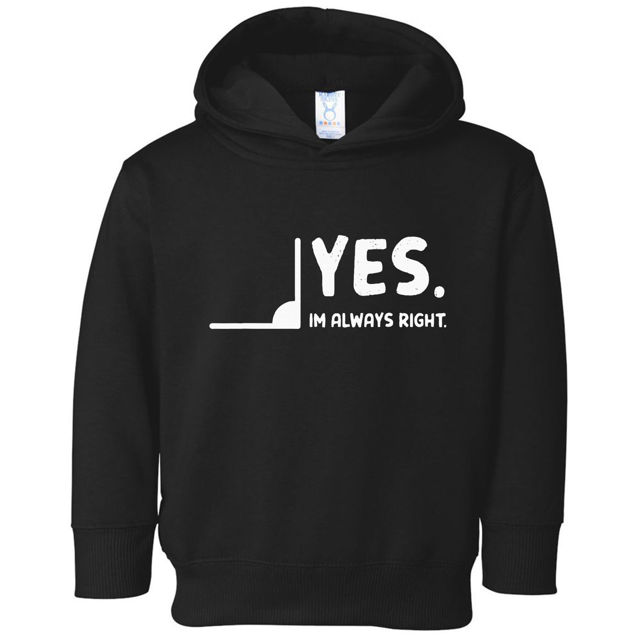 Yes Im Always Right Math Teacher Toddler Hoodie