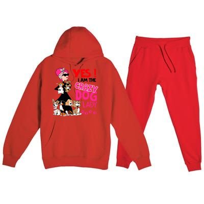 Yes I Am The Crazy Dog Lady Gift Funny Dog Lover Gift Great Gift Premium Hooded Sweatsuit Set