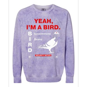 Yeah IM A Bird Colorblast Crewneck Sweatshirt