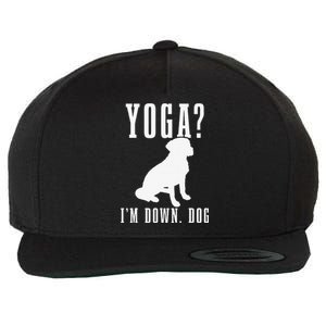 Yoga Im Down Dog Funny Yoga Teacher Yogi Gift Wool Snapback Cap