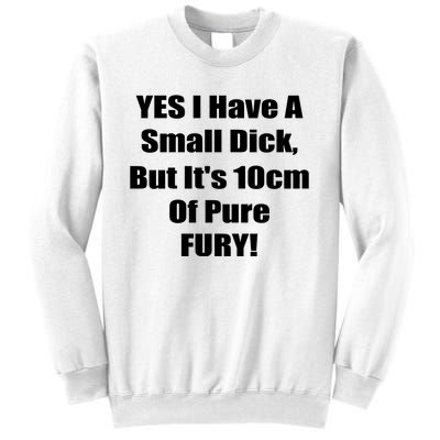 Yes I Have A Small Dick But It's 10Cm Of Pure Fury Shirt Funny Sweatshirt