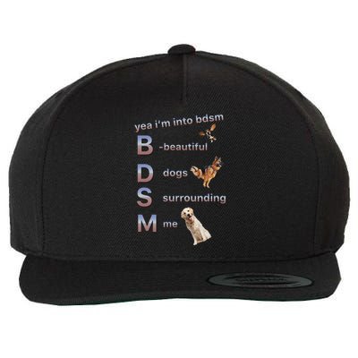 Yea Im Into Bdsm (Beautiful Dogs Surrounding Me) Funny Dog Wool Snapback Cap