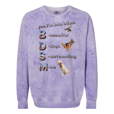 Yea Im Into Bdsm (Beautiful Dogs Surrounding Me) Colorblast Crewneck Sweatshirt