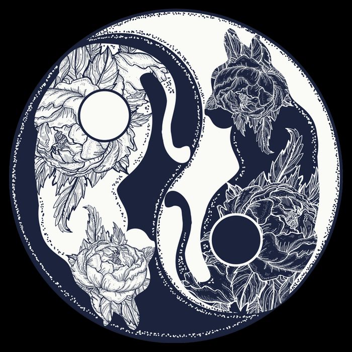 Yin Yang Cat Logo Flat Bill Trucker Hat