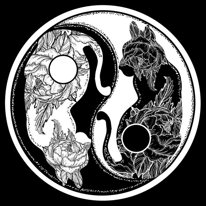 Yin-Yang Cats Womens T-Shirt