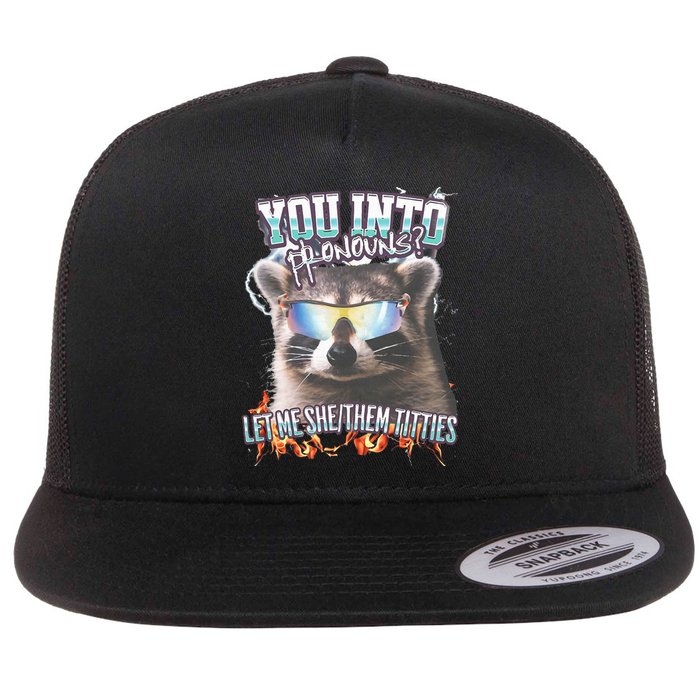 YouRe Into Pronouns Let Me Shethem Tiddies Funny Raccoon Flat Bill Trucker Hat