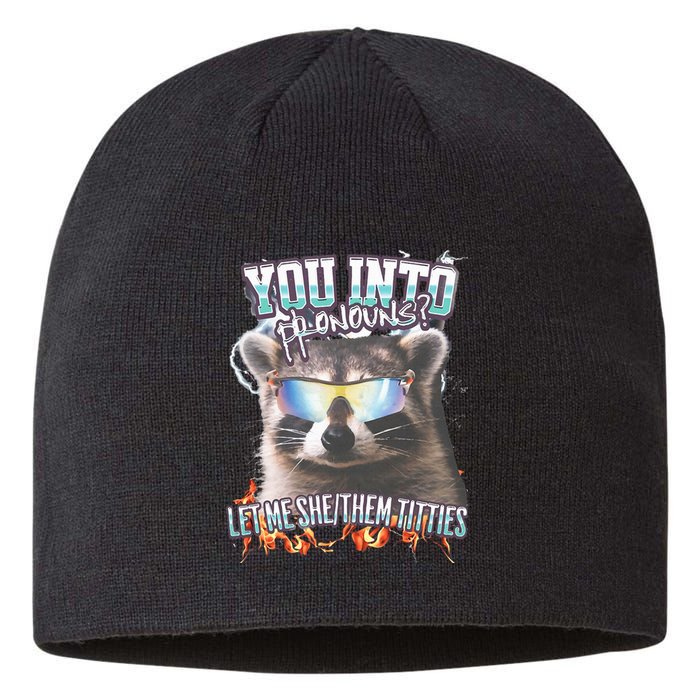 YouRe Into Pronouns Let Me Shethem Tiddies Funny Raccoon Sustainable Beanie