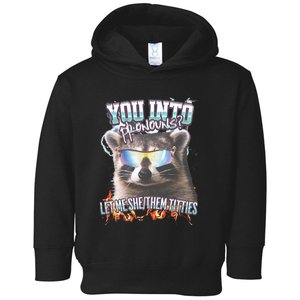 YouRe Into Pronouns Let Me Shethem Tiddies Funny Raccoon Toddler Hoodie