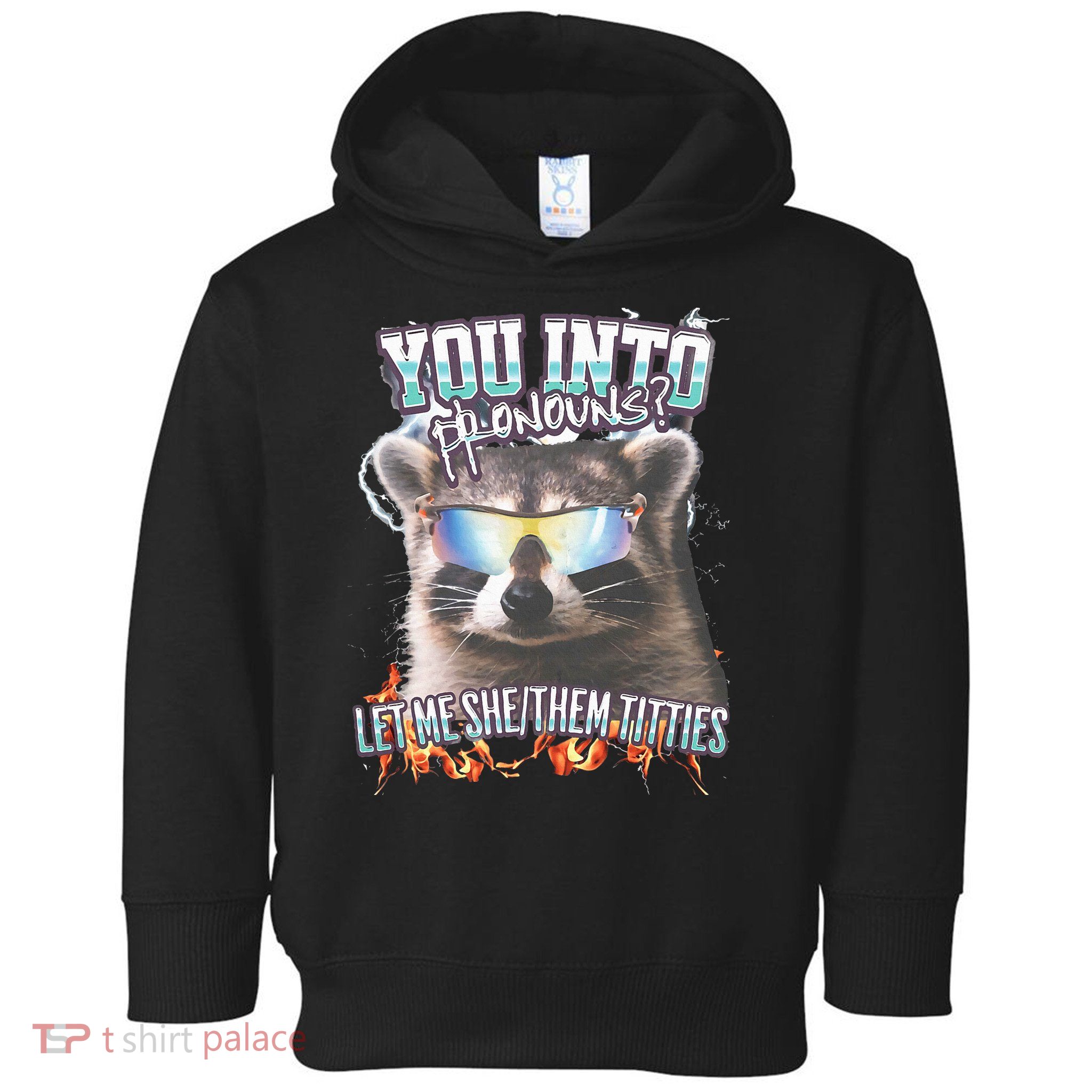 YouRe Into Pronouns Let Me Shethem Tiddies Funny Raccoon Toddler Hoodie