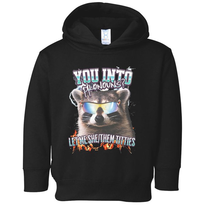 YouRe Into Pronouns Let Me Shethem Tiddies Funny Raccoon Toddler Hoodie