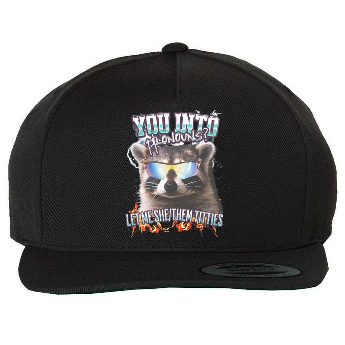 YouRe Into Pronouns Let Me Shethem Tiddies Funny Raccoon Wool Snapback Cap