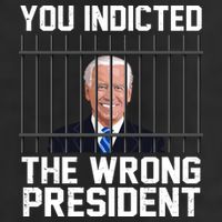 You Indicted The Wrong President Joe Biden Funny 7 Panel Mesh Trucker Snapback Hat
