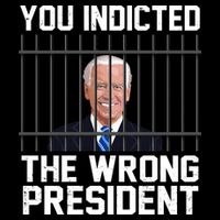 You Indicted The Wrong President Joe Biden Funny Bag
