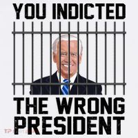 You Indicted The Wrong President Joe Biden Funny Sweatshirt