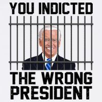 You Indicted The Wrong President Joe Biden Funny Flatbill Hat