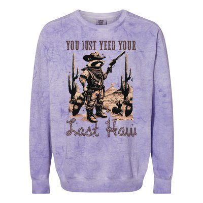 You Just Yeed Your Last Haw Funny Raccoon Colorblast Crewneck Sweatshirt