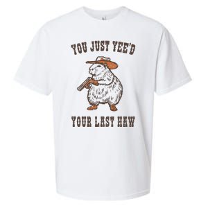 You Just YeeD Your Last Haw Sueded Cloud Jersey T-Shirt