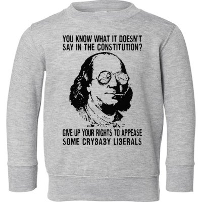 You Know What It Doesn't Say In The Constitution Toddler Sweatshirt
