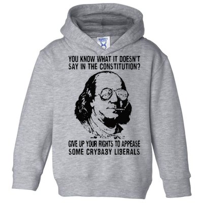 You Know What It Doesn't Say In The Constitution Toddler Hoodie
