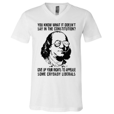 You Know What It Doesn't Say In The Constitution V-Neck T-Shirt