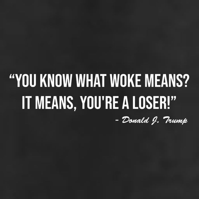 You Know What Woke Means? It Means, You're A Loser! Adult Drive Performance Visor
