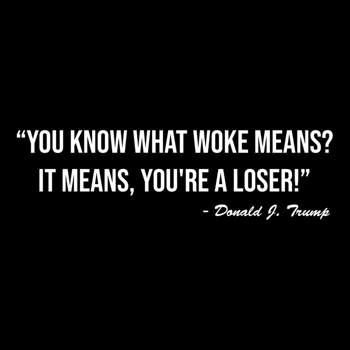 You Know What Woke Means? It Means, You're A Loser! Cropped Pullover Crew