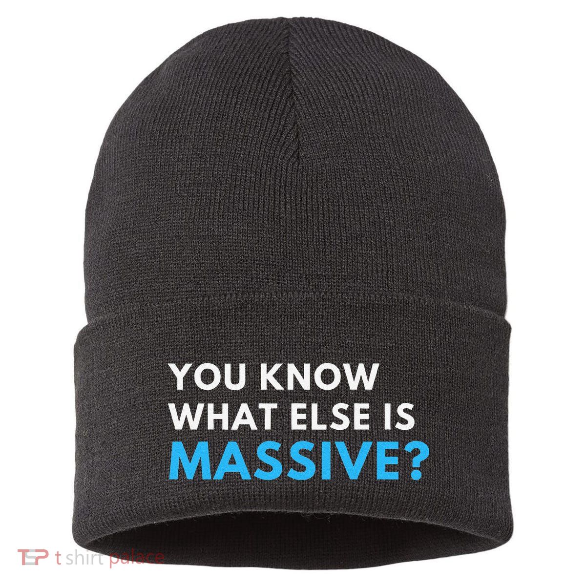 You Know What Else Is Massive Meme Sustainable Knit Beanie