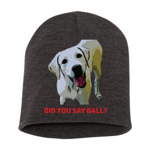 Yellow Lab Did You Say Ball Tee Funny Short Acrylic Beanie