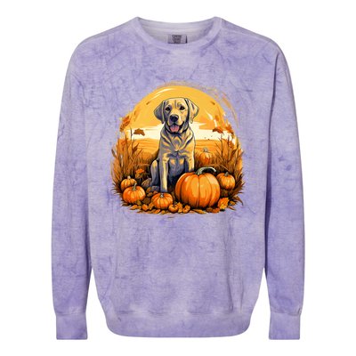 Yellow Lab Halloween Cute And Spooky Dog Colorblast Crewneck Sweatshirt