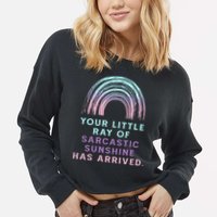 Your Little Ray Of Sarcastic Sunshine Has Arrived Cropped Pullover Crew