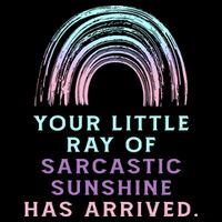 Your Little Ray Of Sarcastic Sunshine Has Arrived Cropped Pullover Crew
