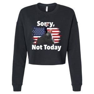 You Missed 2024 Trump Pennsylvania Rally Cropped Pullover Crew