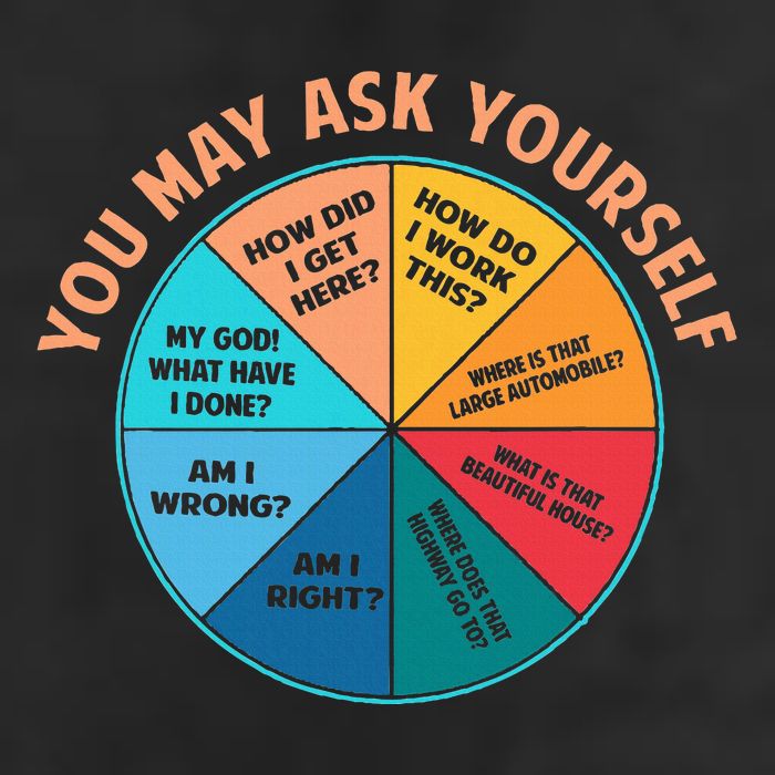 You May Ask Yourself Once In A Lifetime Pie Chart Trucker Hat